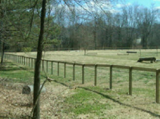 Single Rail Pasture Horse Fence in Gastonia NC