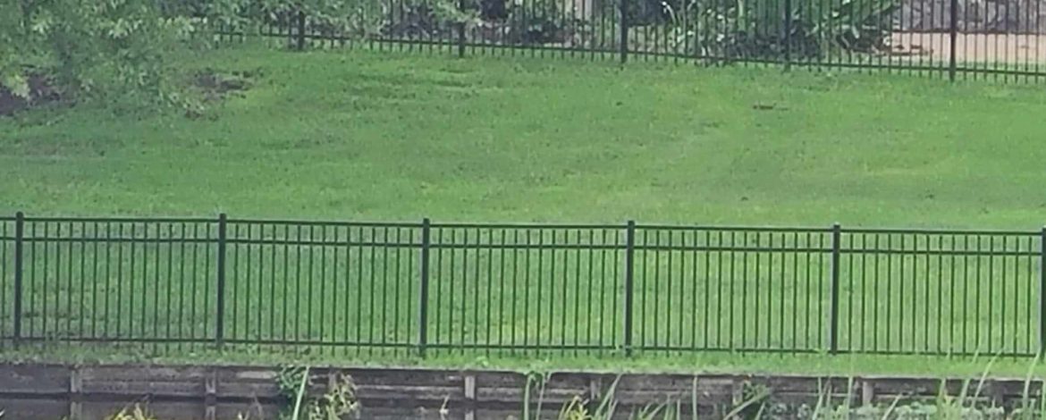 Aluminum Fence